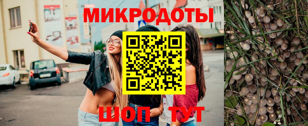 Псилоцибиновые грибы GOLDEN TEACHER Кандалакша