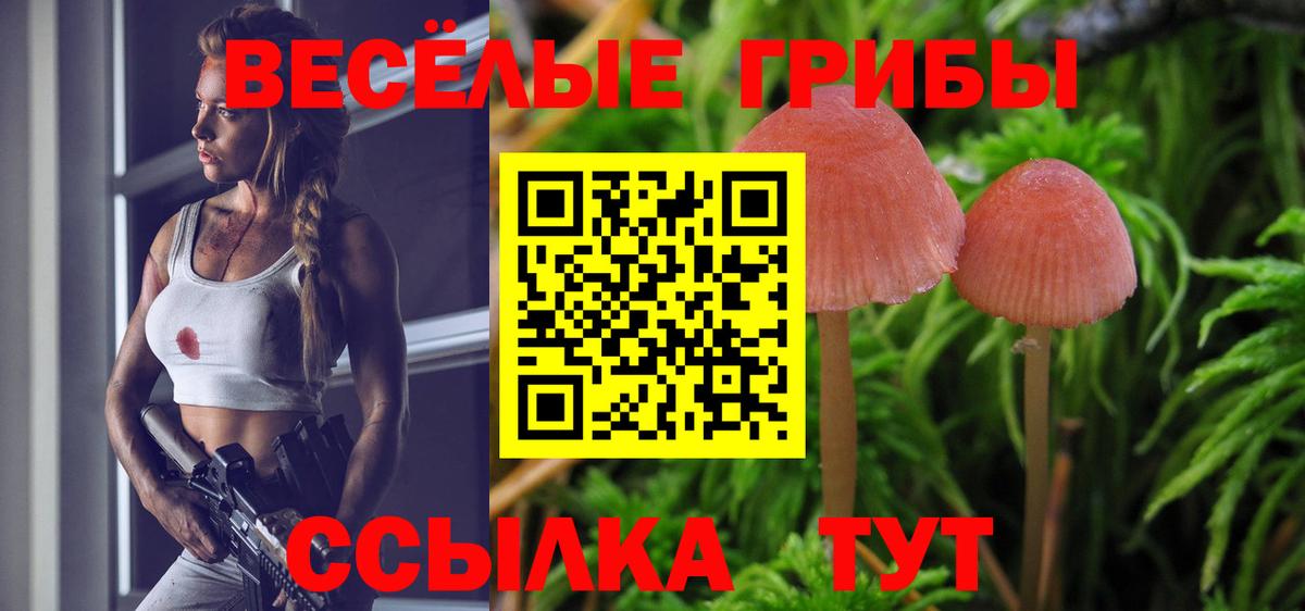 Псилоцибиновые грибы мицелий  Галлюциногенные грибы мицелий  Кандалакша  Вход с VPN 